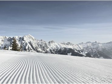 Skidorf Gemütliche Stadt in günstiger Lage mit vielen Langlaufmöglichkeiten-8