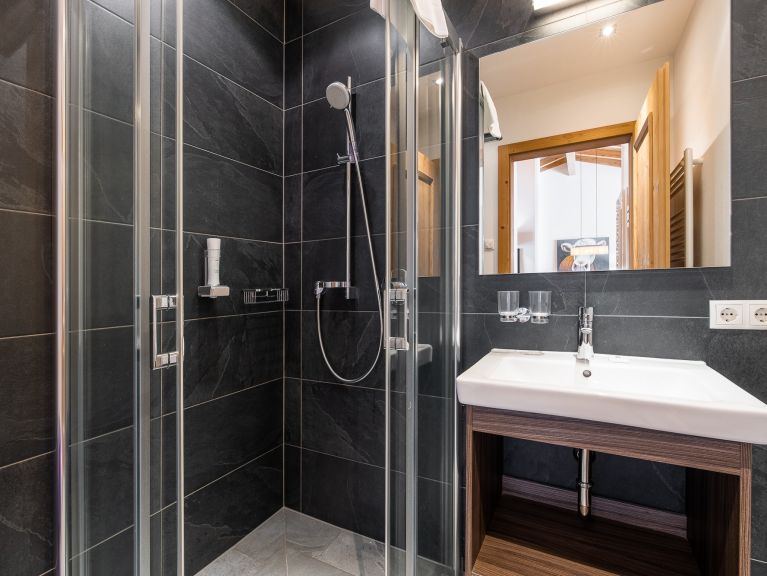 Ferienwohnung Wildkogelresorts Penthouse Typ IIa