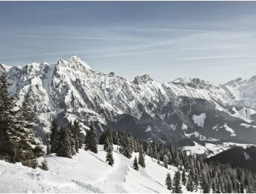 Skidorf Gemütliche Stadt in günstiger Lage mit vielen Langlaufmöglichkeiten-9