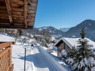 Ferienhaus Ferme du Rys mit Außenwhirlpool, Sonntag bis Sonntag-25