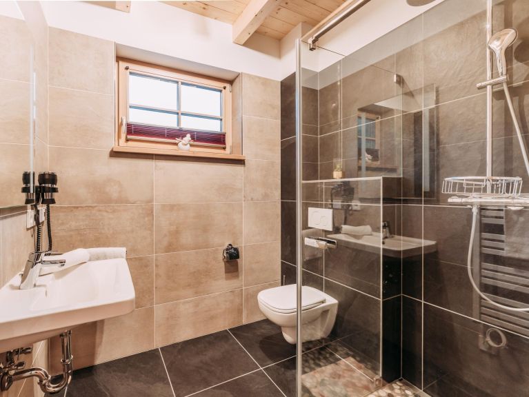 Ferienhaus Riesneralm Thor