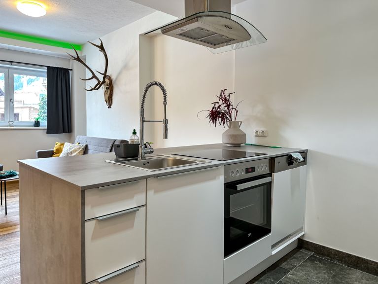Ferienwohnung Ours Living