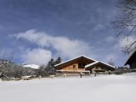 Ferienhaus Vuargnes mit privater Sauna und Schwimmbad-30