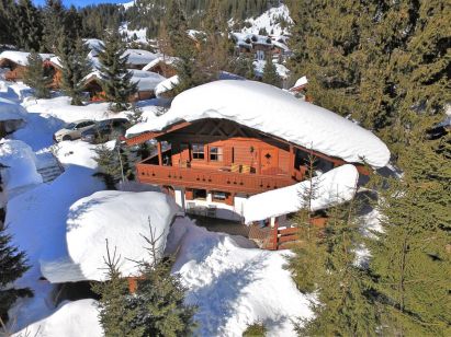 Ferienwohnung Merlenhütte Top OG-1