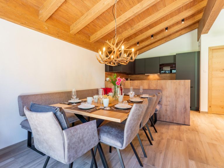 Ferienhaus Pinzgau Lodge 2E