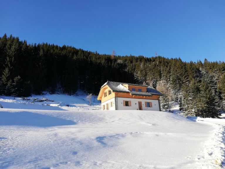 Ferienhaus Riesneralm Liene