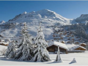 Skidorf Ruhiges, charmantes Skidorf für Wintersportler aller Niveuas-2