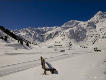 Skidorf Moderner Skiort mit Kurangeboten und kulturellem Angebot-4